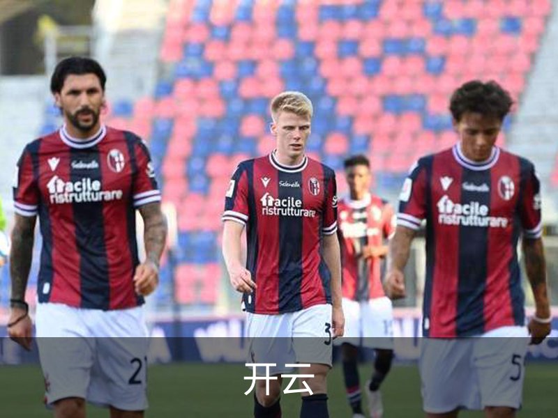 开云简介